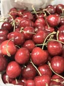 گیلاس تکدانه شهریار
